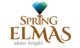 Spring Elmas Noida Extension