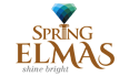 Spring Elmas The Elegant Apartment Situated In Noida 